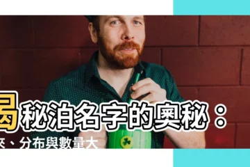 【泊 名字】揭秘泊名字的奧秘：由來、分佈與數量大公開！