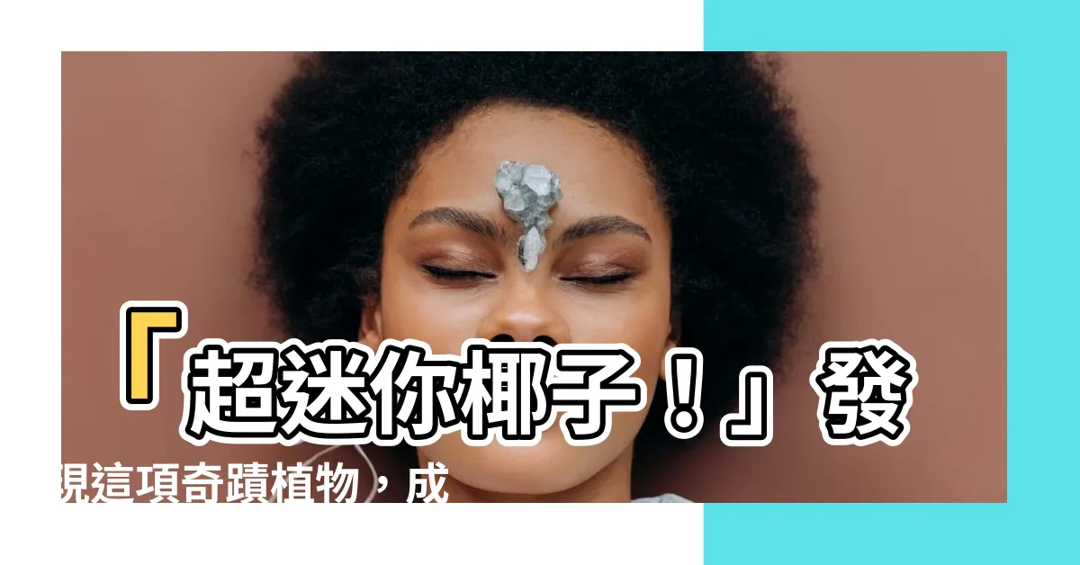 【迷你椰子】「超迷你椰子！」發現這項奇蹟植物，成為你心中的小小夢想！