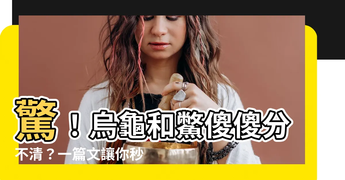 【烏龜 鱉】驚！烏龜和鱉傻傻分不清？一篇文讓你秒懂兩者差異