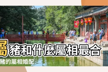 【婚姻屬豬的同什麼屬相最合適】屬豬和什麼屬相最合 |屬豬的屬相婚配表大全 |屬豬和什麼屬相婚配好生肖豬的屬相婚配表 |