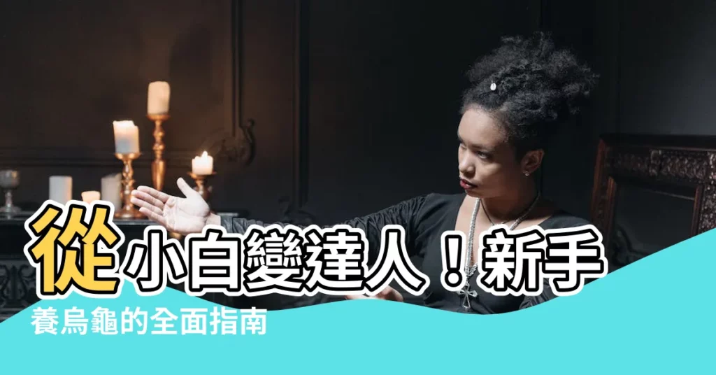 【新手養烏龜】從小白變達人！新手養烏龜的全面指南