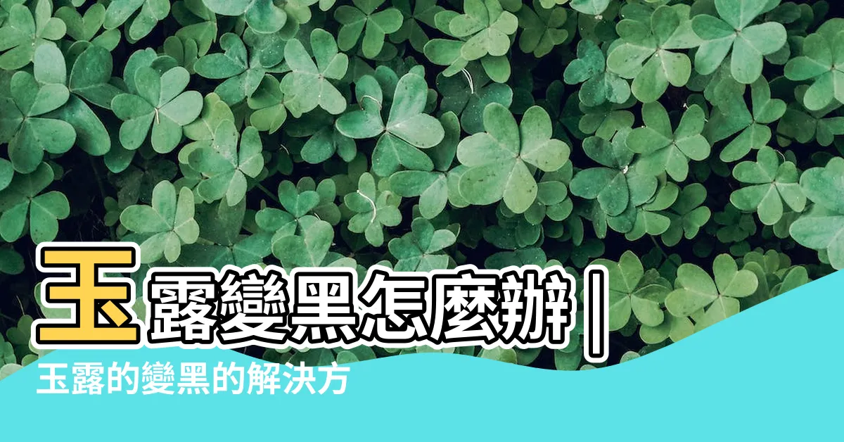 【玉露變黑】玉露變黑怎麼辦 |玉露的變黑的解決方法 |以下3個方面要做到 |