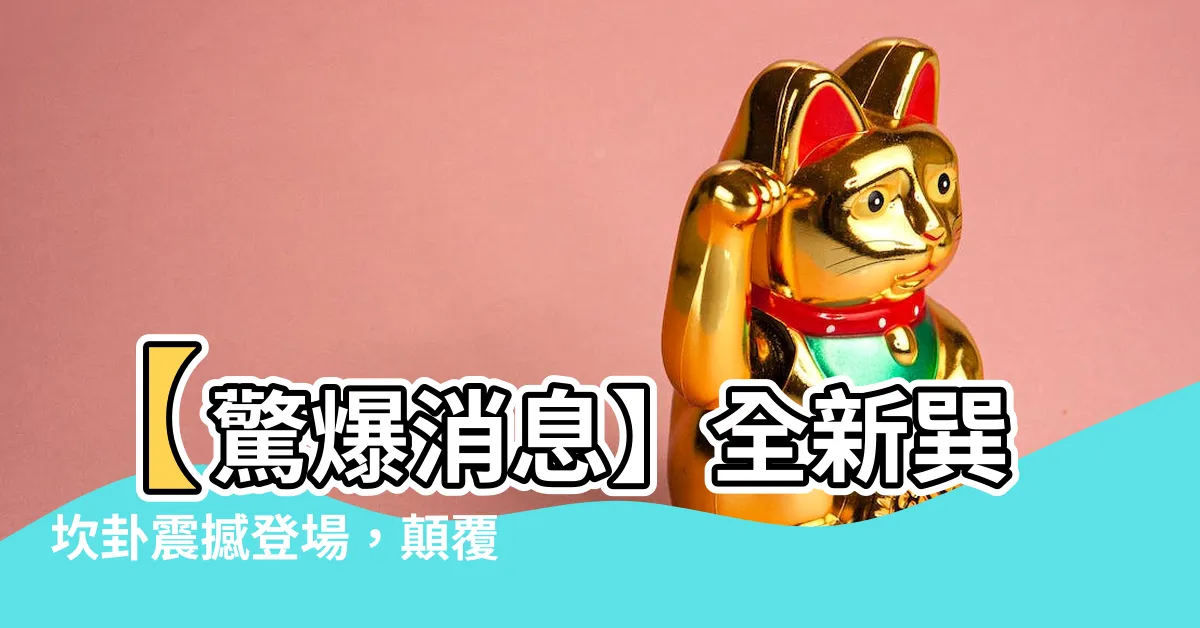 【巽坎卦】【驚爆消息】全新巽坎卦震撼登場，顛覆你對周易的想像！
