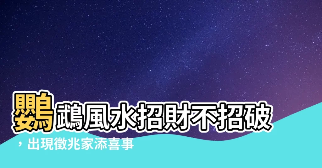 【鸚鵡風水】鸚鵡風水招財不招破，出現徵兆家添喜事！