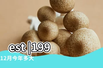 【199612生肖月份排序】test |1996年12月今年多大 |1996年屬什麼生肖配對 |
