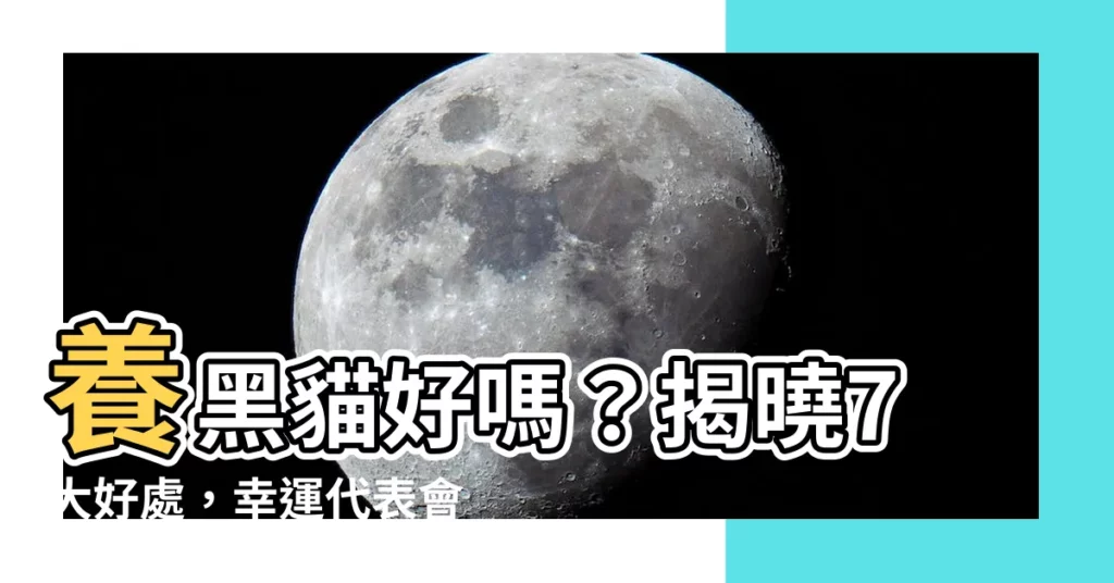 【養黑貓好嗎】養黑貓好嗎？揭曉7大好處，幸運代表會加倍愛你！