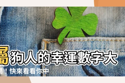 【屬狗幸運數字】屬狗人的幸運數字大公開！快來看看你中了幾個！