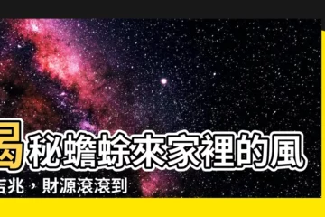 【蟾蜍來家裡】揭秘蟾蜍來家裡的風水吉兆，財源滾滾到！