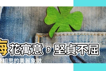 【梅花 寓意】梅花寓意，堅貞不屈傲骨相思的美麗象徵