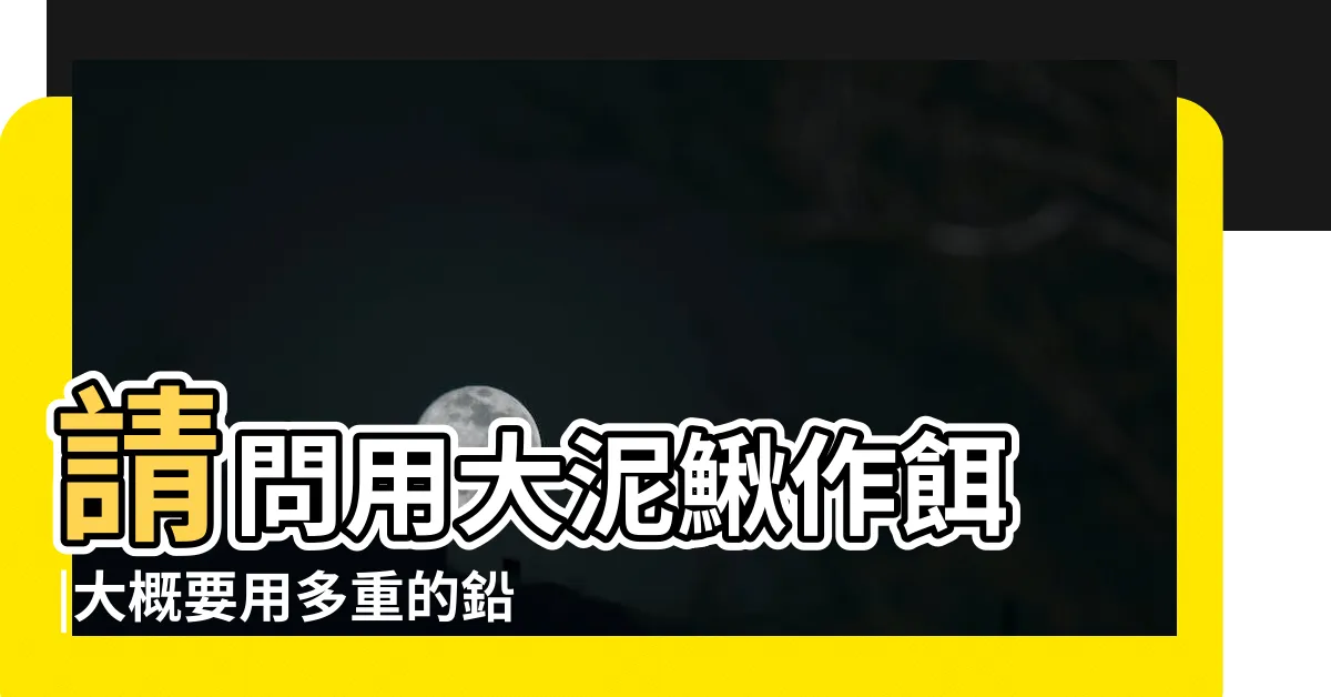 【龍膽子線加鉛】請問用大泥鰍作餌 |大概要用多重的鉛 |釣龍膽用活動力比較強的活餌時 |