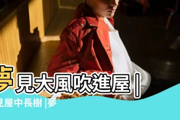 【夢見風把樹葉吹進屋裏】夢見大風吹進屋 |夢見屋中長樹 |夢到大風吹進屋 |