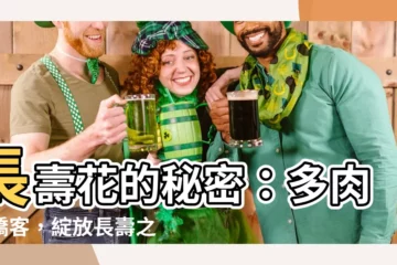 【長壽花】長壽花的秘密：多肉界嬌客，綻放長壽之美！
