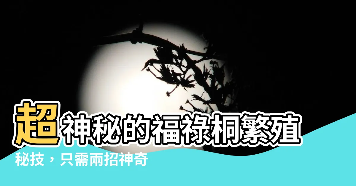 【福祿桐繁殖】超神秘的福祿桐繁殖秘技，只需兩招神奇才能輕鬆繁殖！