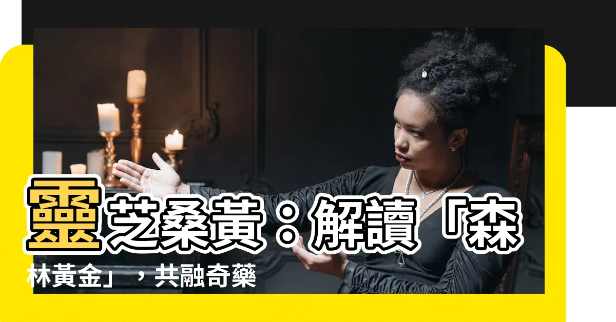 【桑黃靈芝】靈芝桑黃：解讀「森林黃金」，共融奇藥，提升免疫力！
