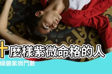 【會離婚的紫薇星盤】什麼樣紫微命格的人 |於緯鵬紫微鬥數快速解盤SOP |一定會離婚 |