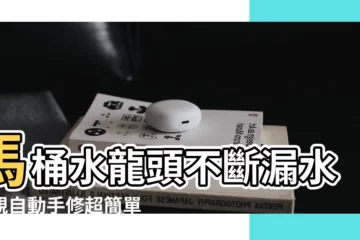【馬桶水龍頭漏水】馬桶水龍頭不斷漏水？親自動手修超簡單！