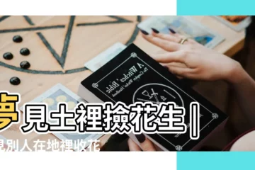 【孕婦夢到別人在挖花生什麼意思】夢見土裡撿花生 |夢見別人在地裡收花生 |夢見挖花生 |