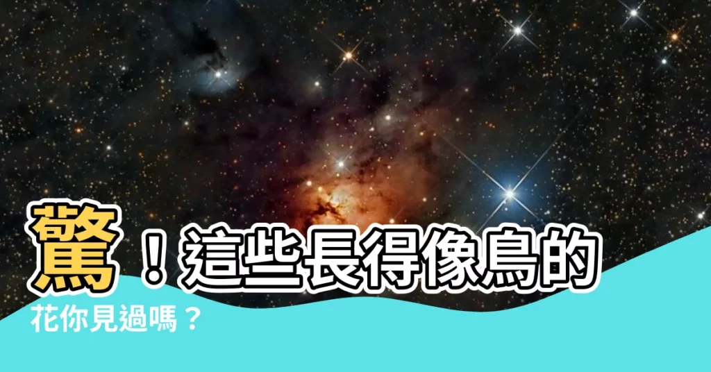 【長得像鳥的花】驚！這些長得像鳥的花你見過嗎？