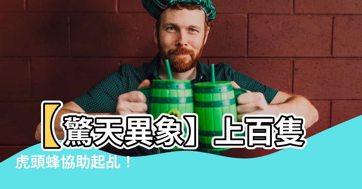 【入神虎頭蜂數量】【驚天異象】上百隻虎頭蜂協助起乩！
