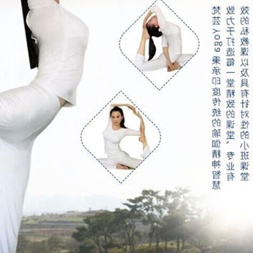 瑜伽簡介