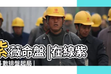 【中國紫微鬥數算命網】紫薇命盤 |在線紫微斗數排盤起局 |紫微斗數在線排盤 |