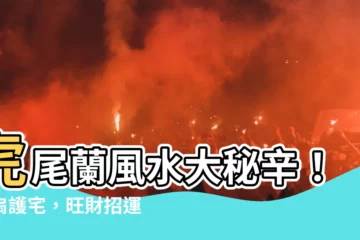 【寶扇虎尾蘭風水】虎尾蘭風水大秘辛！寶扇護宅，旺財招運