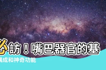 【嘴巴器官】必訪！嘴巴器官的基本構成和神奇功能