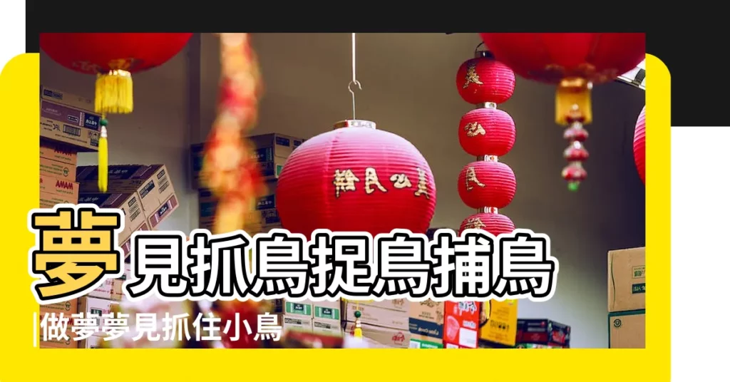 夢見抓鳥捉鳥捕鳥 |做夢夢見抓住小鳥好不好 |夢見抓住一隻鳥 |【周公解夢 夢到捉住小鳥】