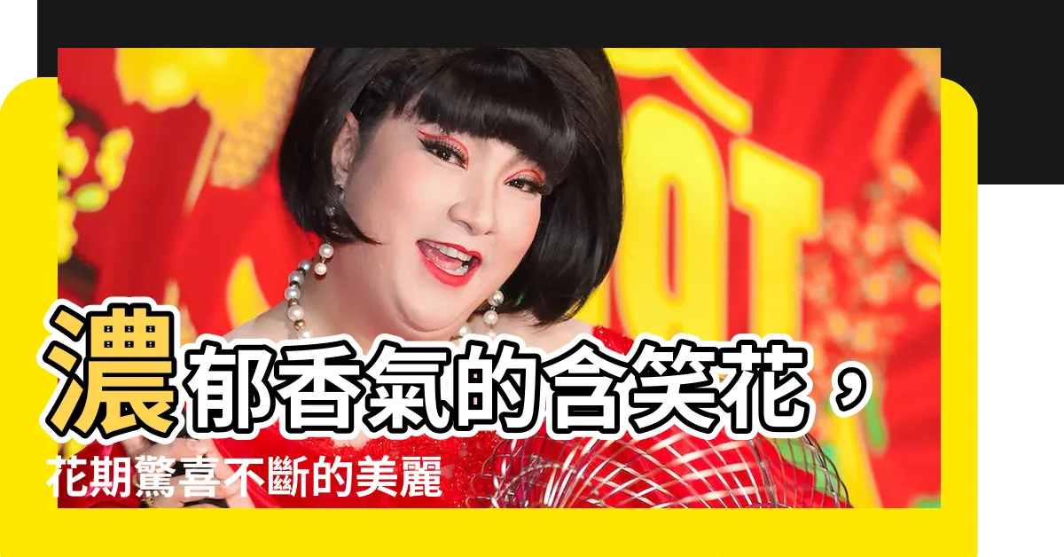 【含笑花 花期】濃鬱香氣的含笑花，花期驚喜不斷的美麗花灌木