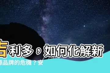 【吉利多】吉利多，如何化解新能源品牌的危機？安聰慧的應對策略大公開！