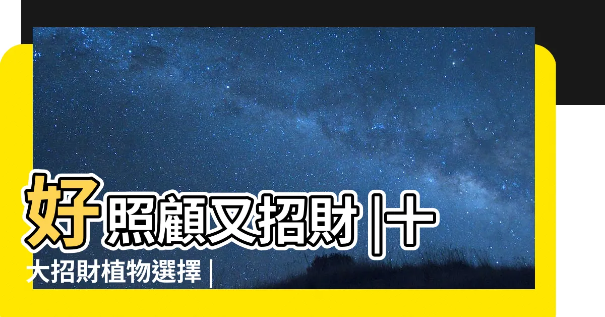 【招財植栽】好照顧又招財 |十大招財植物選擇 |室內如擺放位置與如何 |