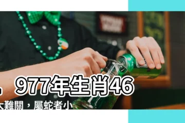 【1977年生肖】1977年生肖46歲大難關，屬蛇者小心流年不順，尋求貴人助力
