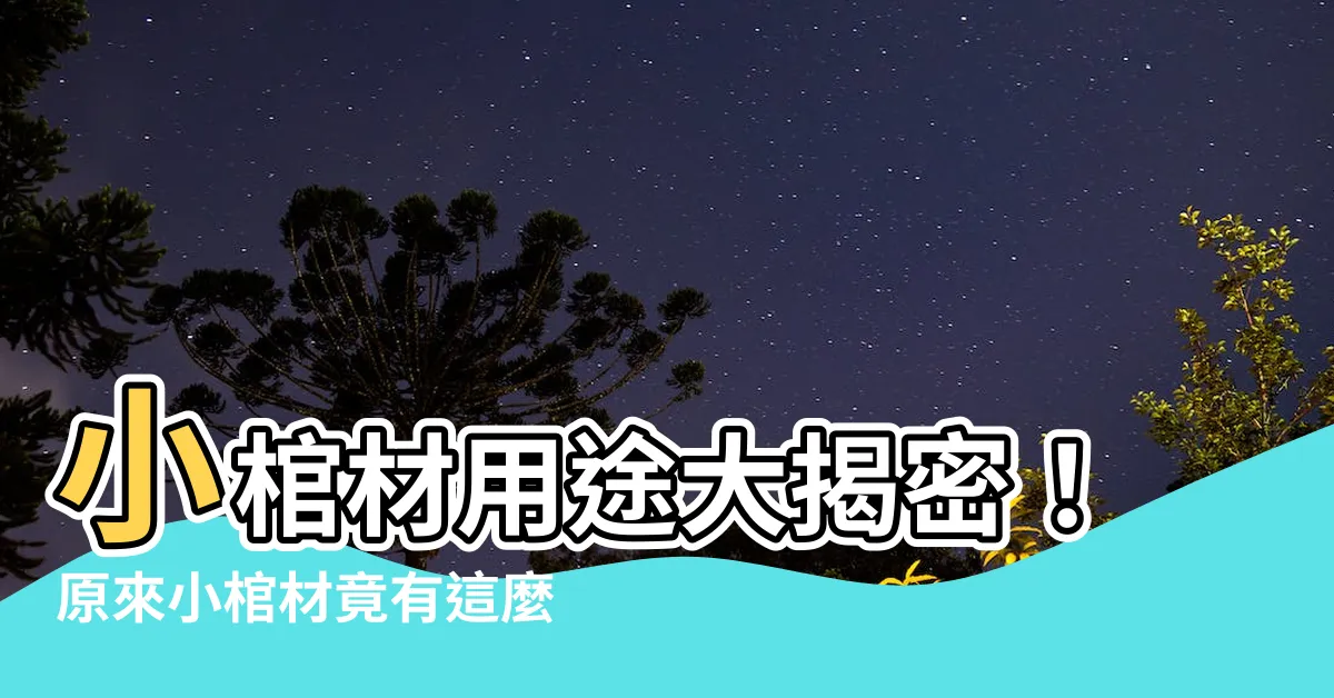 【小棺材用途】小棺材用途大揭密！原來小棺材竟有這麼多神奇的功用！