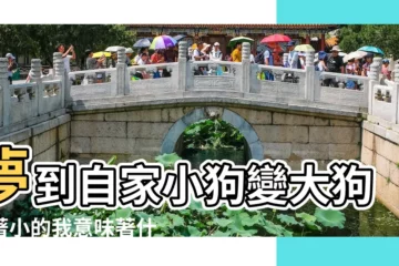 【夢見狗狗馱着我】夢到自家小狗變大狗馱著小的我意味著什麼 |夢見看到狗是什麼徵兆 |