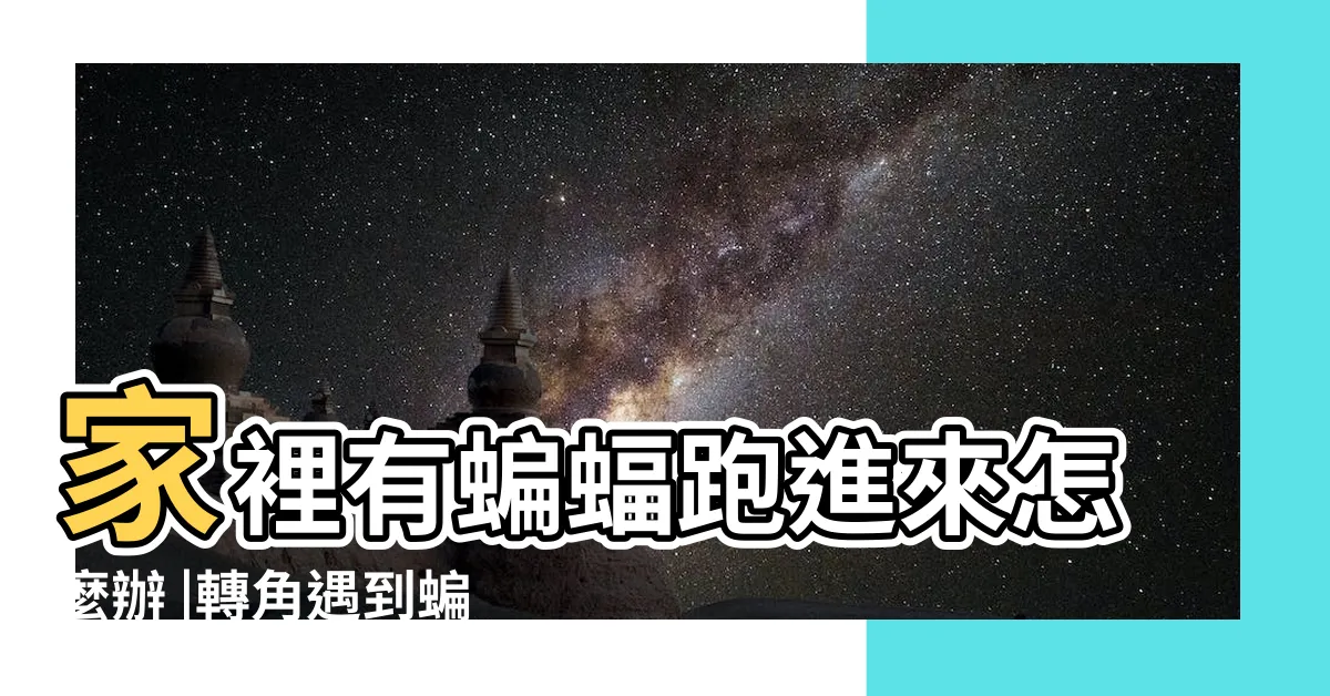 【家裡飛蝙蝠】家裡有蝙蝠跑進來怎麼辦 |轉角遇到蝙蝠 |建築上雕刻蝙蝠寓意着什麼 |