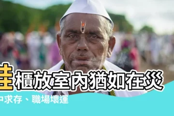 【鞋櫃放室內】鞋櫃放室內猶如在災禍中求存、職場壞運不斷？別再害自己了！