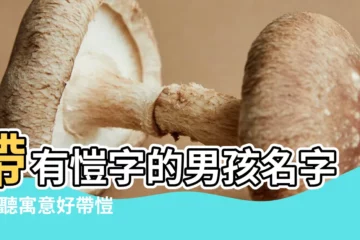 【帶有愷字的暱稱】帶有愷字的男孩名字 |好聽寓意好帶愷字的女孩洋氣的名字大全 |好聽寓意好帶愷字的男孩洋氣的名字大全 |