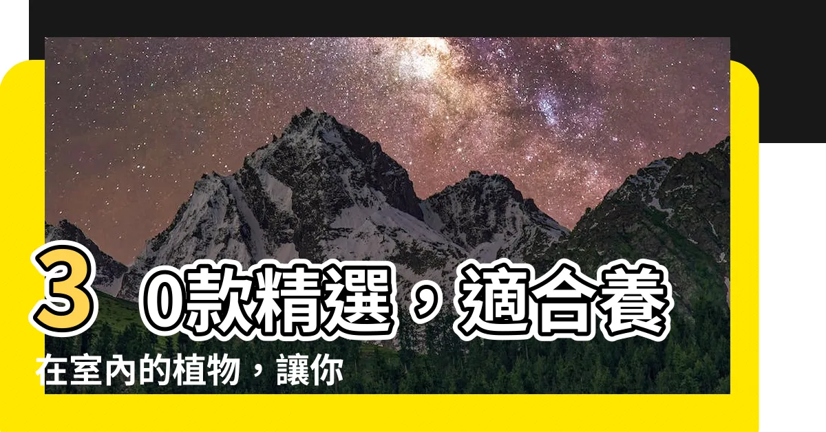 【適合養在室內的植物】30款精選，適合養在室內的植物，讓你的家充滿生氣！