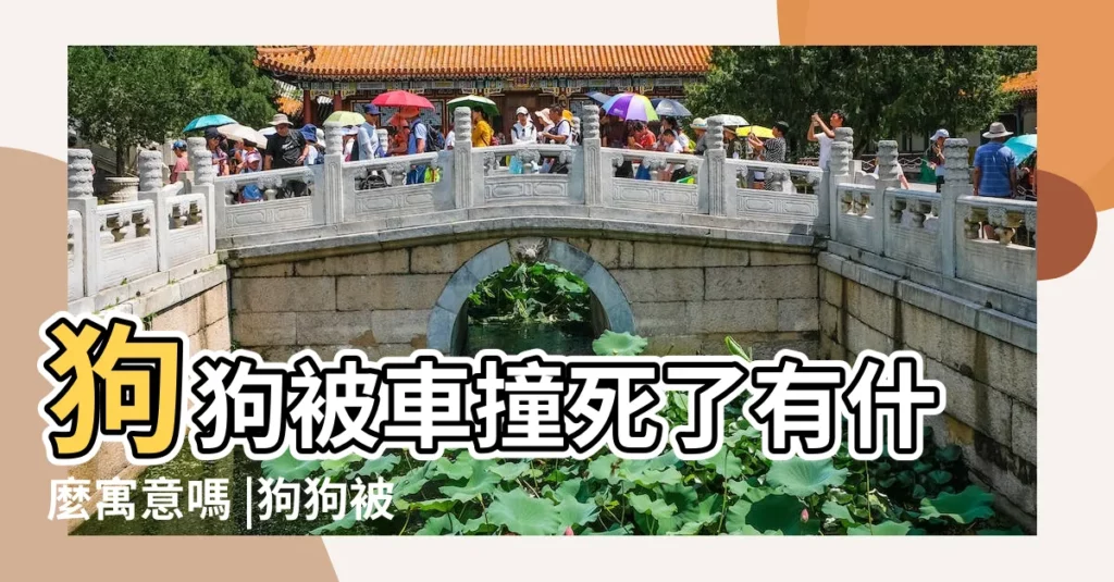 狗狗被車撞死了有什麼寓意嗎 |狗狗被車撞死寓意什麼呢 |搜索結果 |【狗狗被車撞寓意】