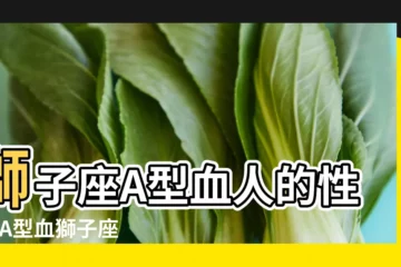 【獅子座a型性格配對】獅子座A型血人的性格 |A型血獅子座女生最佳配對 |A型獅子血型星座配對 |