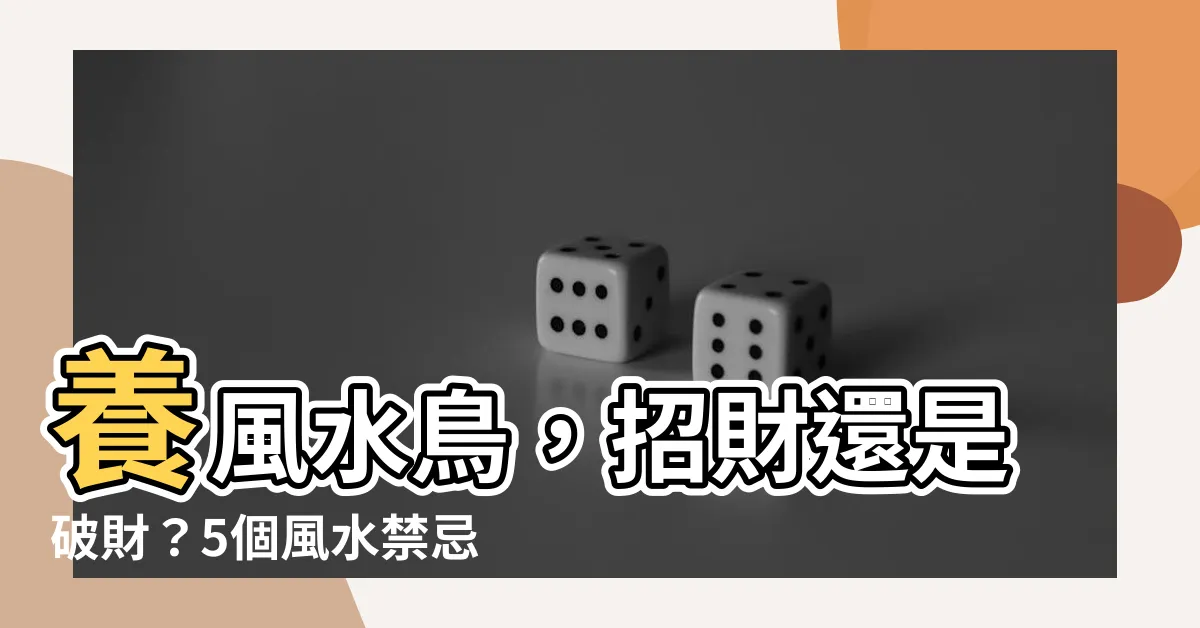 【風水鳥】養風水鳥，招財還是破財？5個風水禁忌不可不知