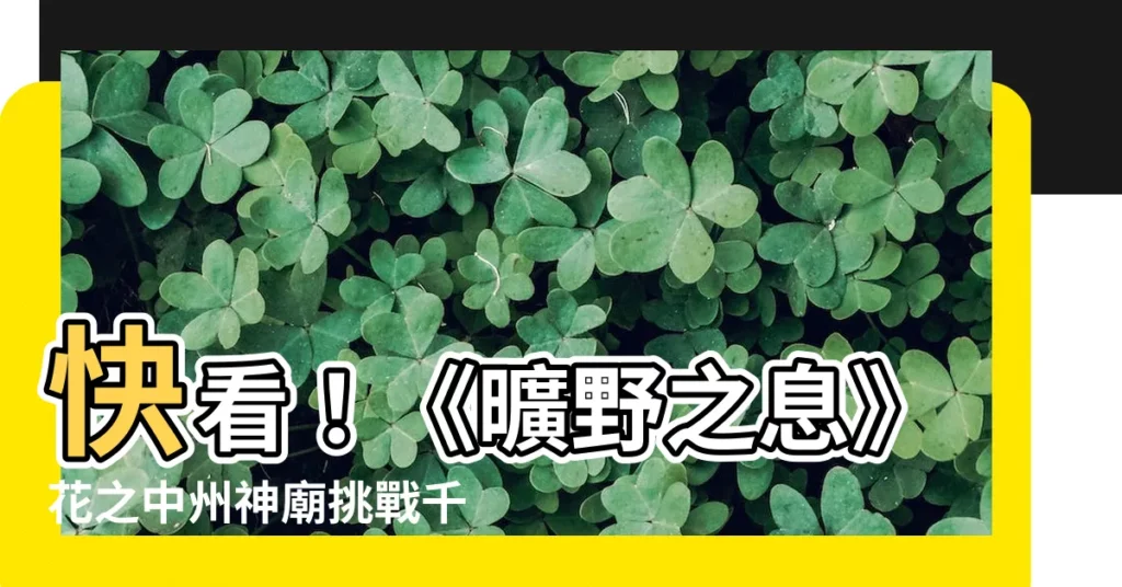 【花之中州】快看！《曠野之息》花之中州神廟挑戰千萬小心不要踩到花！