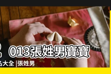 【2013張姓男寶寶取名大全】2013張姓男寶寶取名大全 |張姓男孩名字大全 |張姓2013年男蛇寶寶起名大全 |