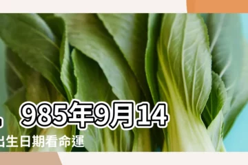 【1985.9.14這天出生的人】1985年9月14日出生日期看命運 |9月14日生日算命9月14日出生人命運 |1985年9月14日出生時間看命運 |