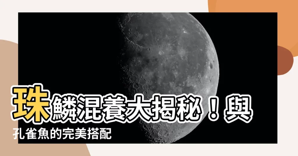 【珠鱗 混養】珠鱗混養大揭秘！與孔雀魚的完美搭配