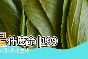 【1990年8月1日出生的人】是什麼命 |1990年8月1日出生時間看命運 |1990年8月1日出生日期看命運 |