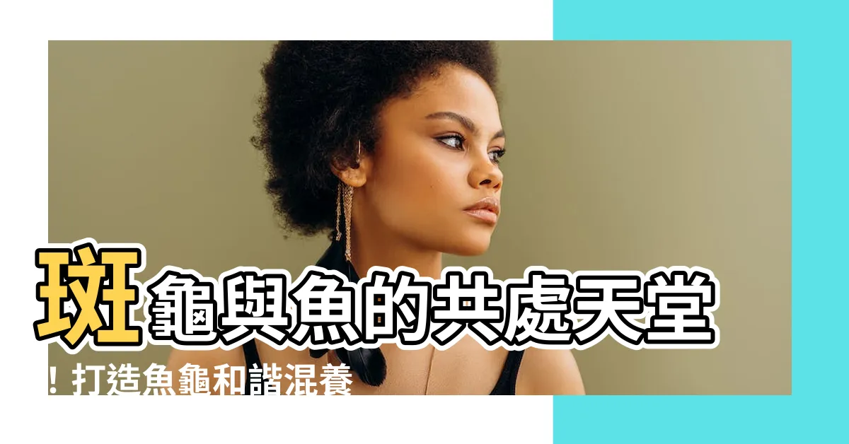 【斑龜跟魚一起養】斑龜與魚的共處天堂！打造魚龜和諧混養的秘訣
