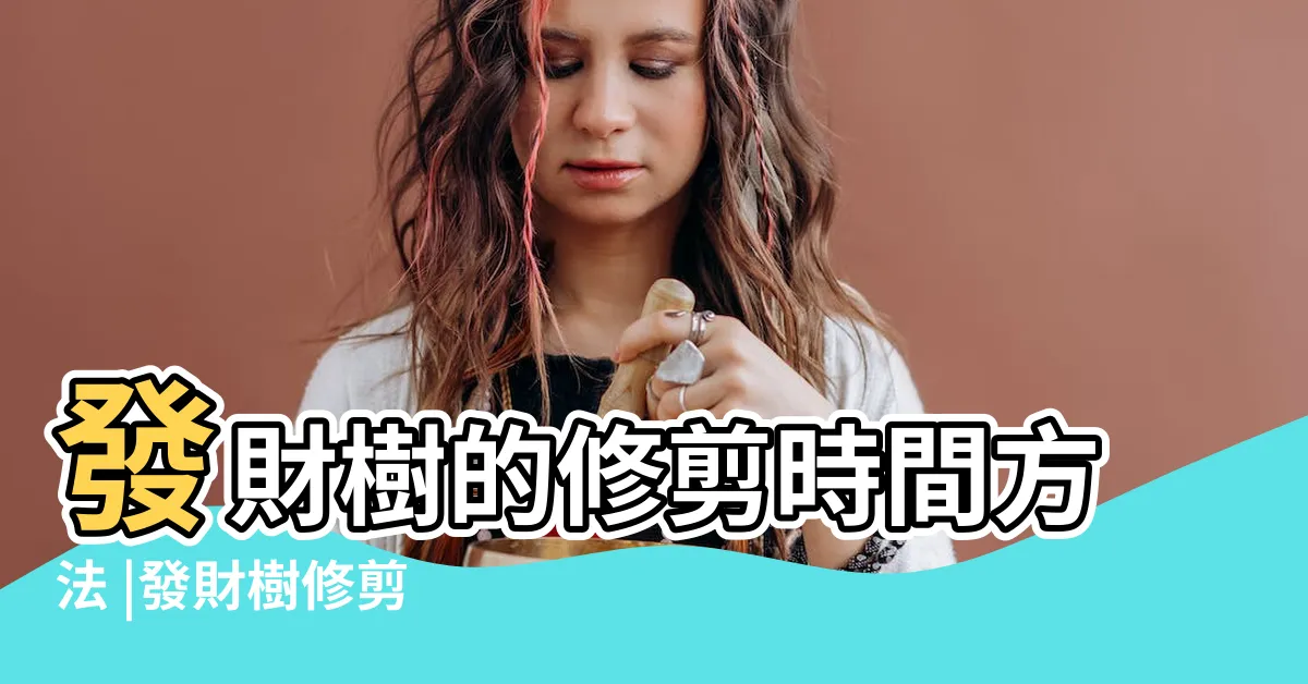 【發財樹修剪】發財樹的修剪時間方法 |發財樹修剪 |發財樹怎麼種長得更好 |
