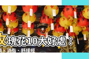 【玫瑰花好處】玫瑰花10大好處：養顏、消脂、舒緩經痛一次滿足！