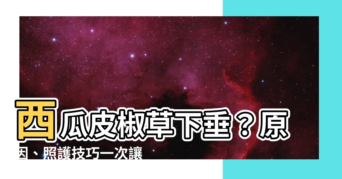 【西瓜皮椒草下垂】西瓜皮椒草下垂？原因、照護技巧一次讓你掌握！
